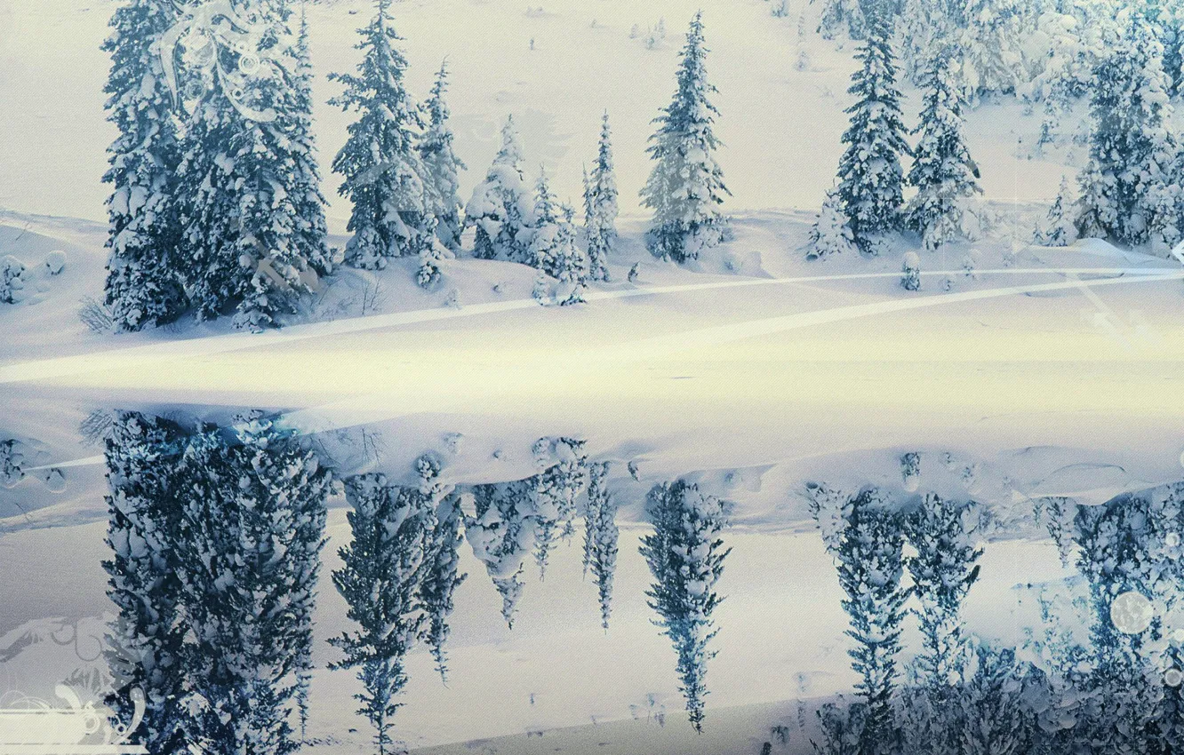 Фото обои зима, снег, отражение, елки