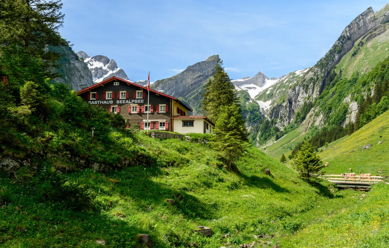 Фото обои Природа, Горы, Швейцария, Дом, Альпы, Пейзаж