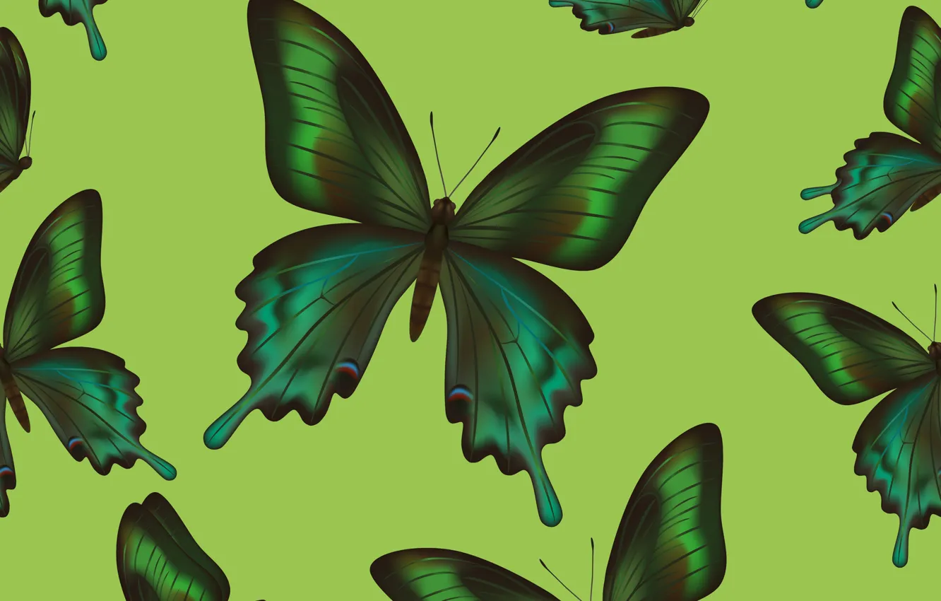Фото обои бабочки, фон, текстура, texture, background, butterflies