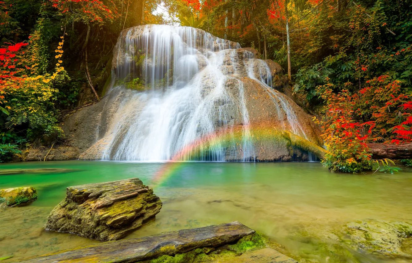 Фото обои осень, лес, природа, водопад, радуга, поток
