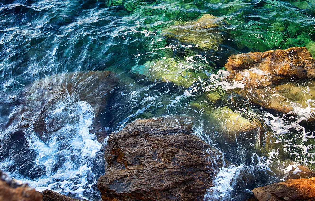 Фото обои море, водоросли, камни