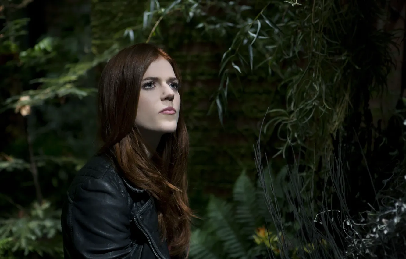 Фото обои Девушка, Волосы, Куртка, Рыжая, Стоит, Смотрит, Голубые глаза, Rose leslie