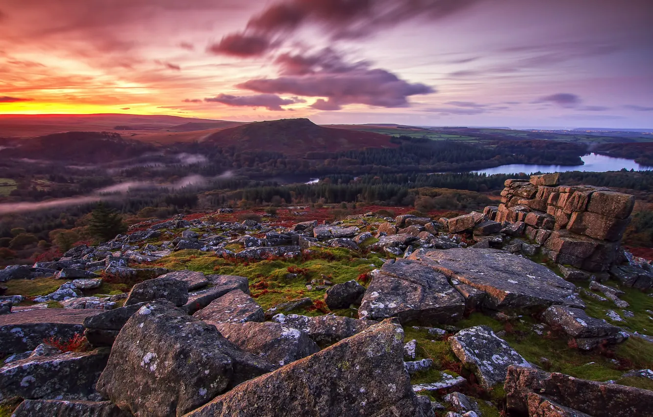 Фото обои sunrise, mist, Leather Tor, woodland