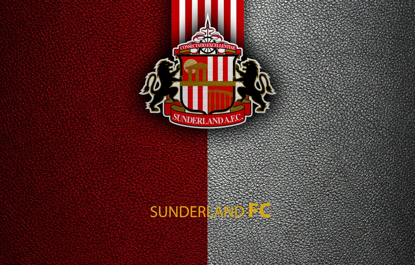 Фото обои wallpaper, sport, logo, football, Sunderland, English Premier League