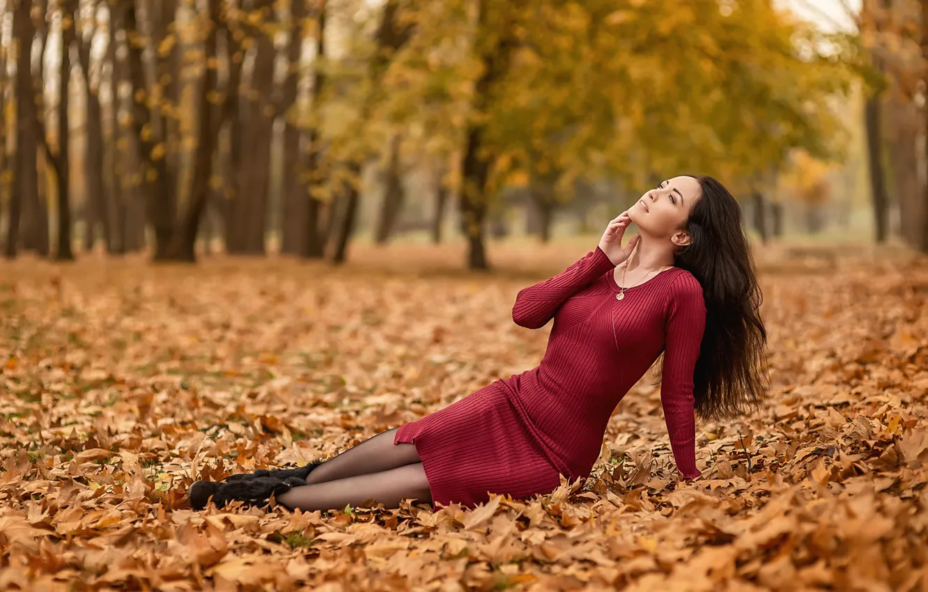 Фото обои brunette, red dress, Георгий Дьяков