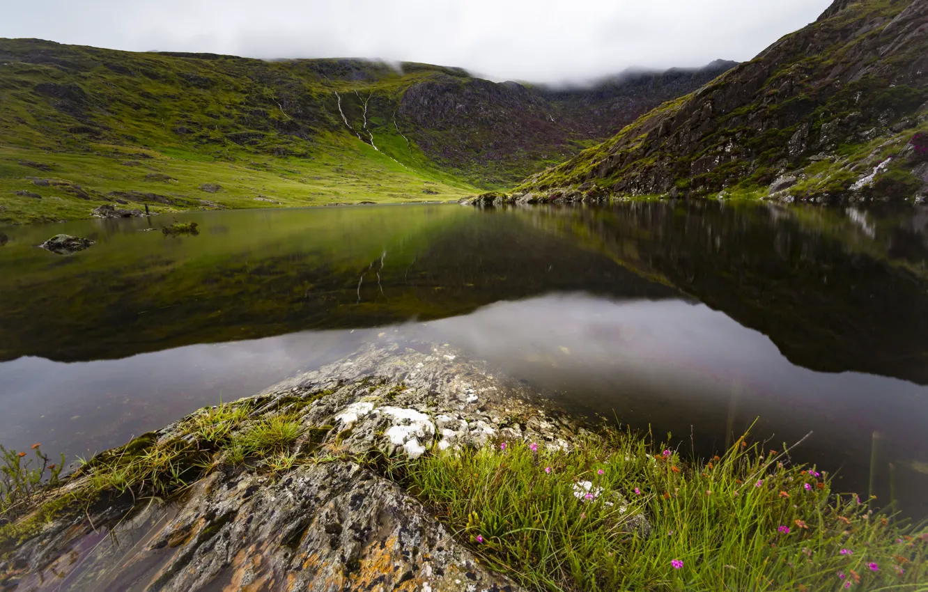 Фото обои трава, цветы, горы, озеро, отражение, холмы, берег, Англия