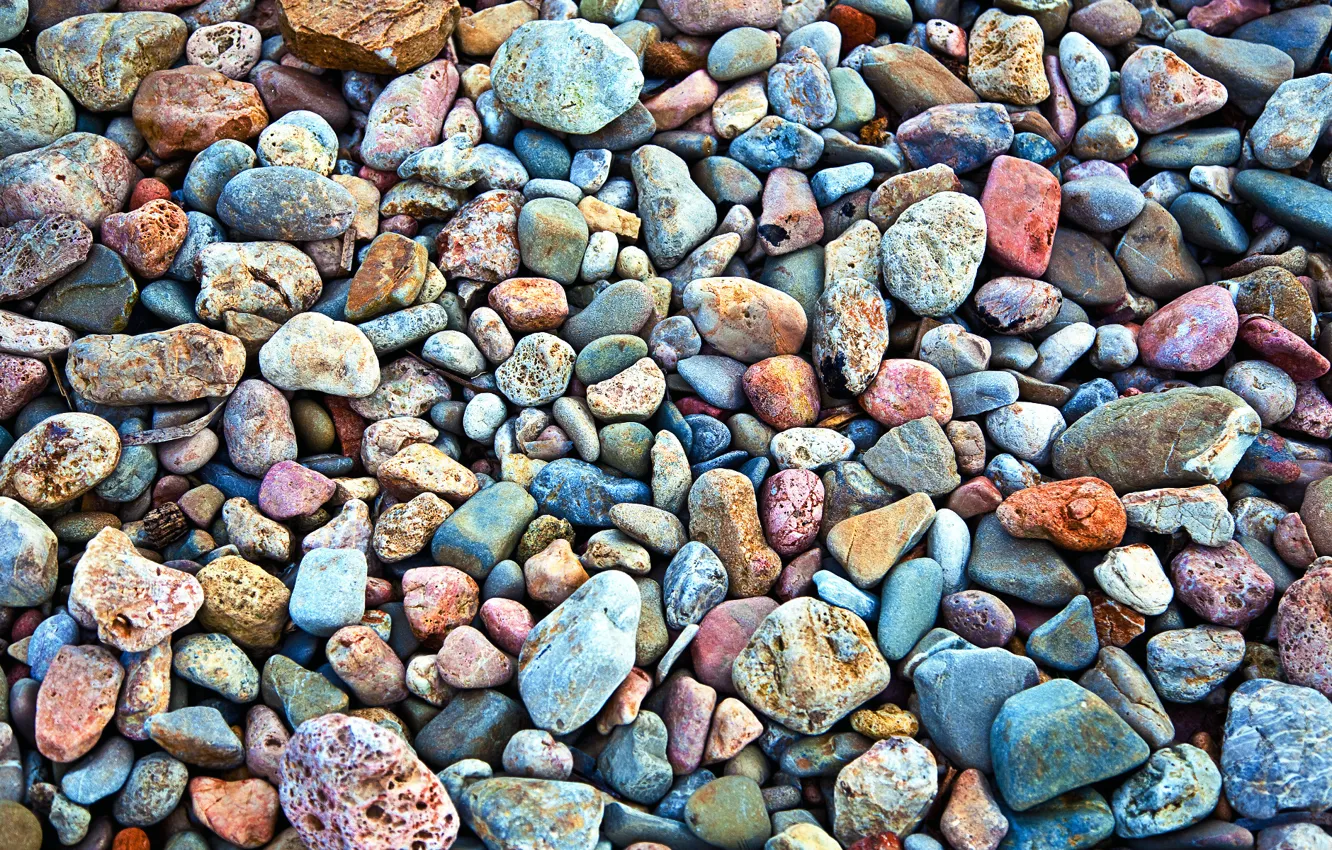 Фото обои макро, камни, фото, камень, текстура, текстуры, морские