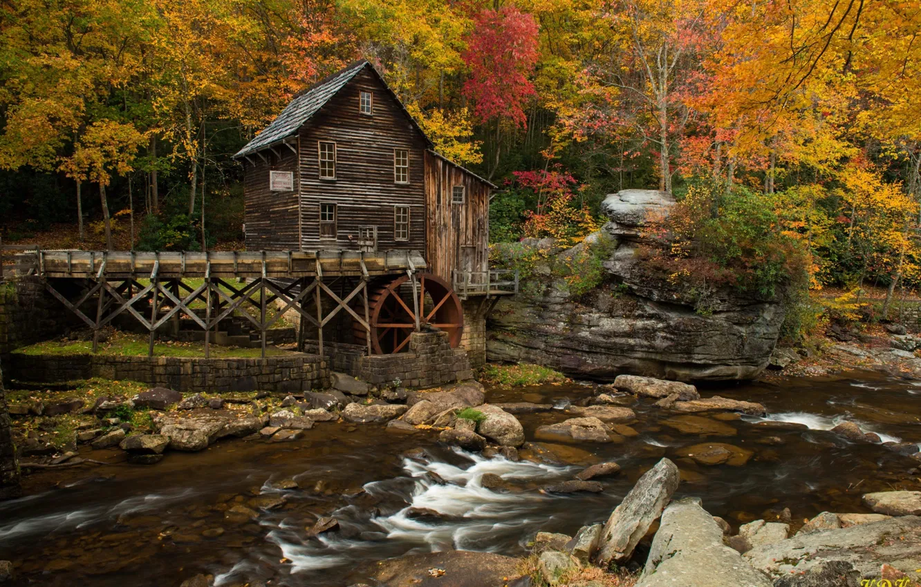 Фото обои осень, лес, вода, деревья, дом, река, хижина