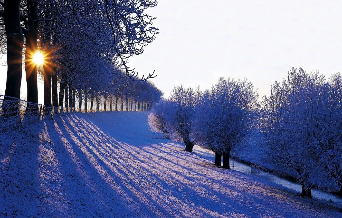 Фото обои зима, небо, солнце, снег, пейзаж, природа, гора, white