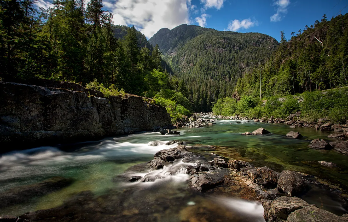Фото обои лес, горы, река, Канада, Canada, British Columbia, Британская Колумбия, Остров Ванкувер