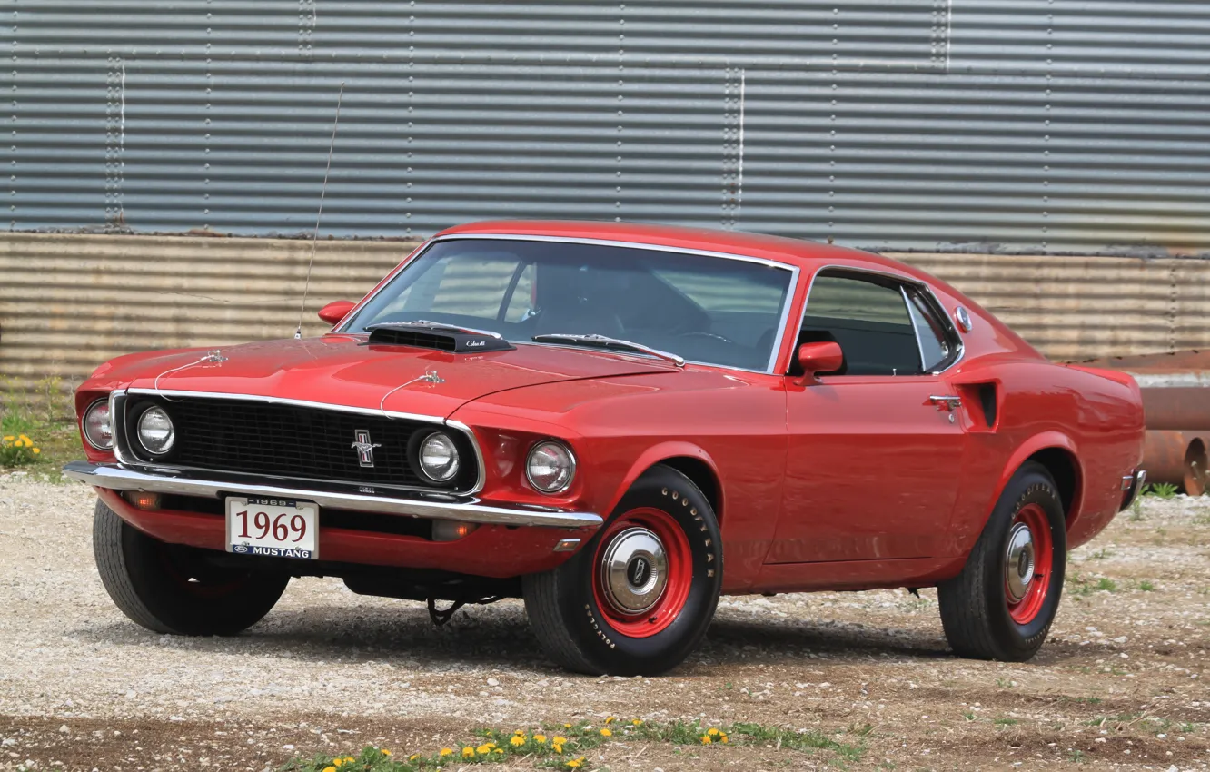 Фото обои Mustang, Ford, 1969, Super, 428