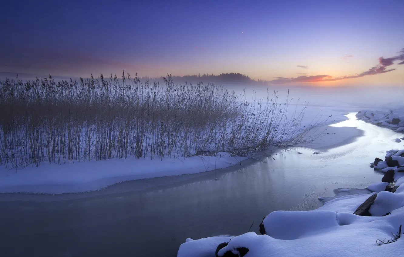 Фото обои зима, закат, река, камыш