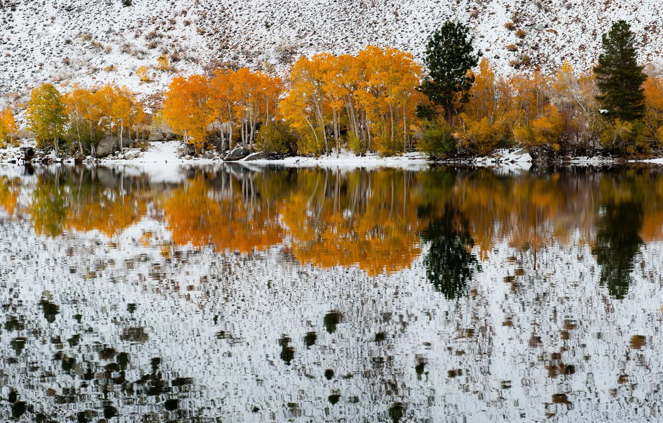 Фото обои California, refections, Fall Snow, Bishop Creek