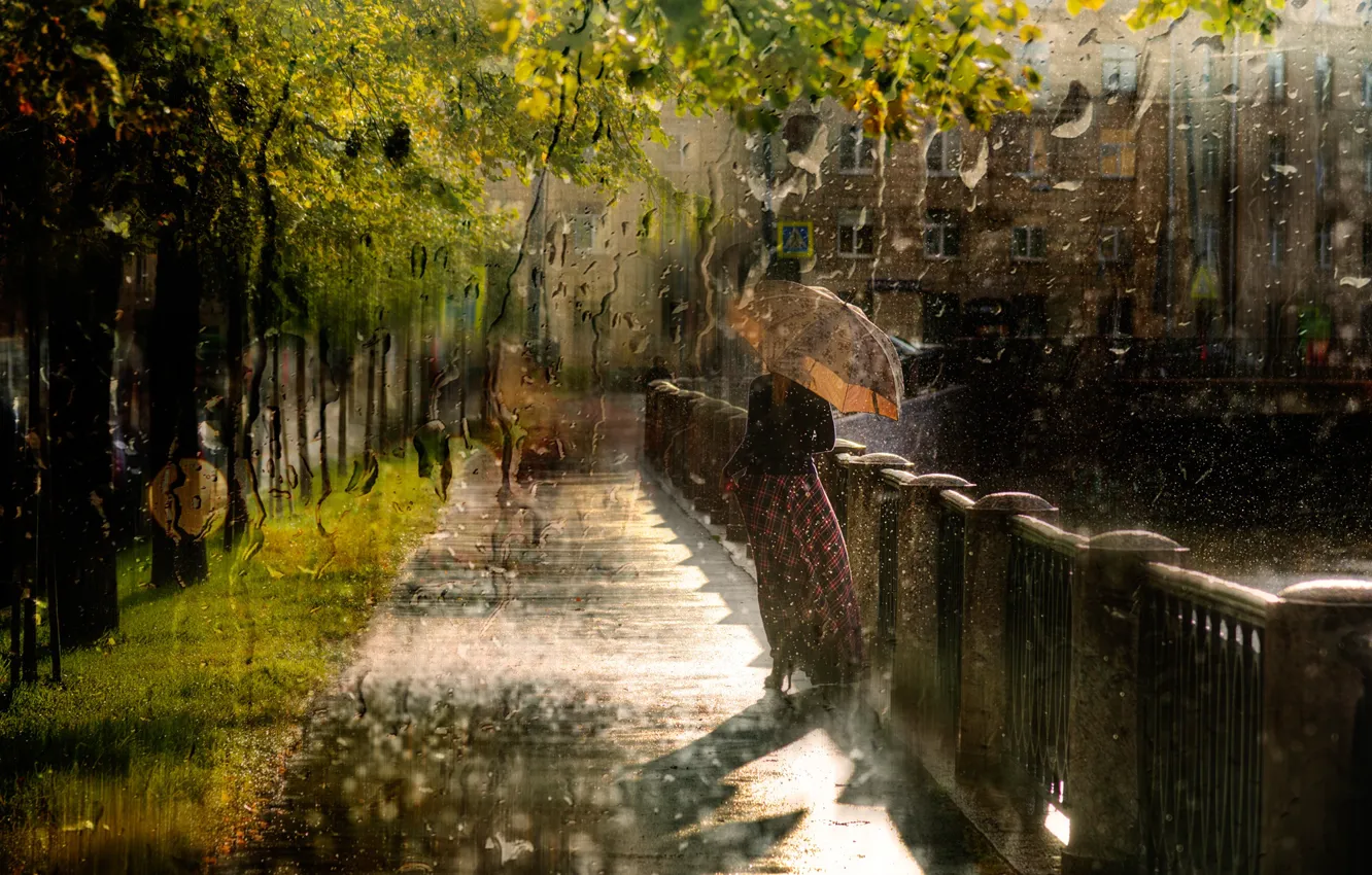 Фото обои осень, девушка, капли, фото, дождь, зонт, Гордеев Эдуард