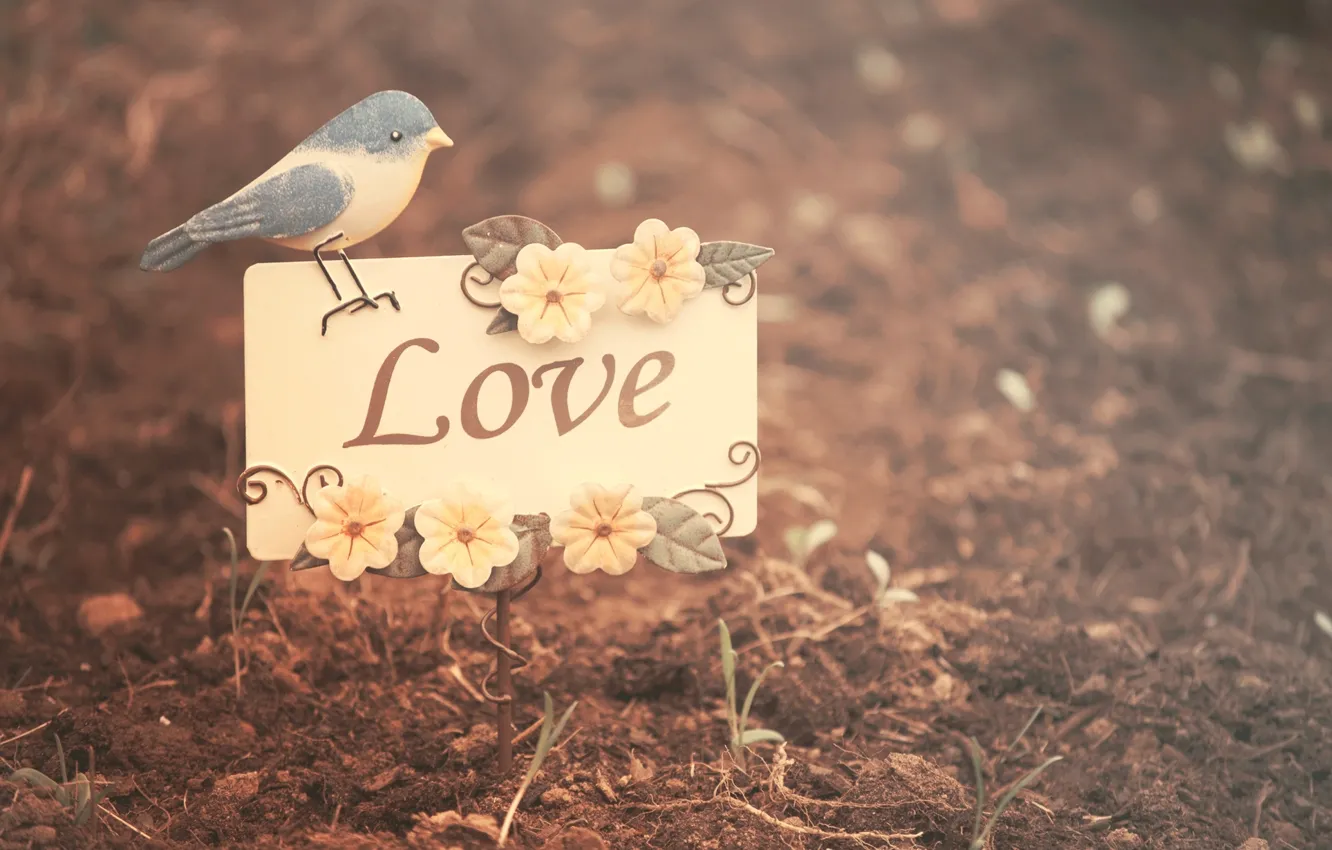 Фото обои листья, цветы, природа, фон, птица, обои, настроения, love