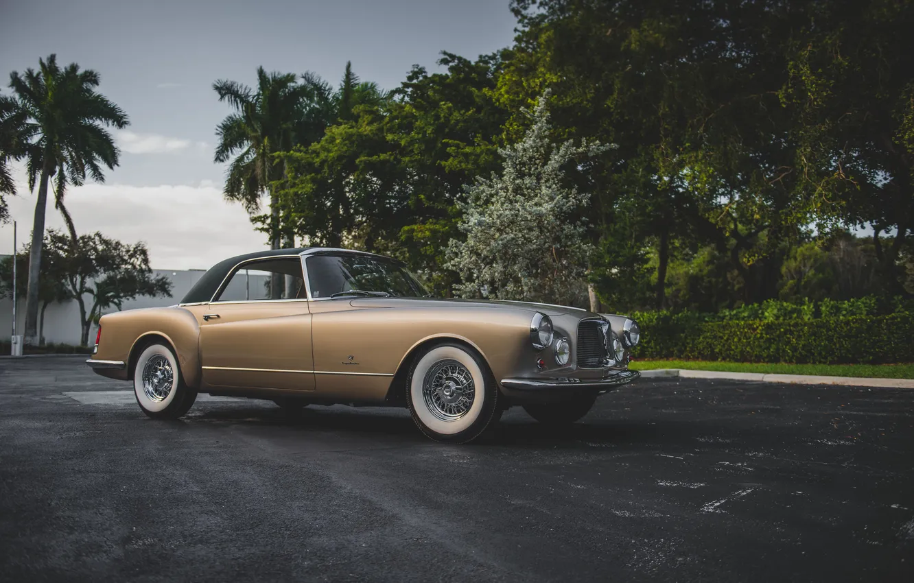 Фото обои тропики, ретро, пальмы, Chrysler, золотой, классика, Coupe, Chrysler 300B Coupe Speciale 1956г