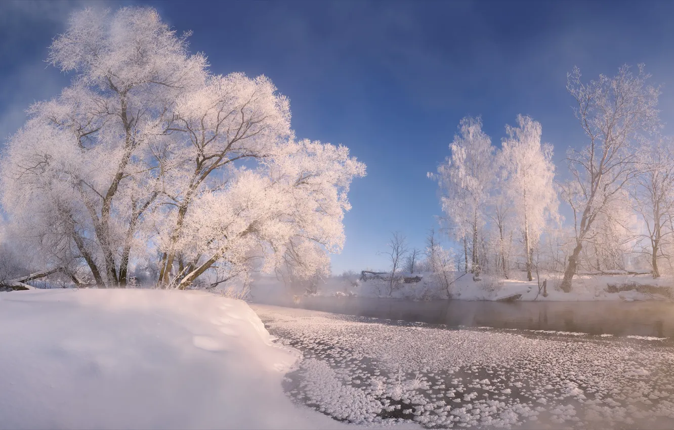 Фото обои зима, снег, деревья, пейзаж, природа, река, Истра, Алексей Богорянов