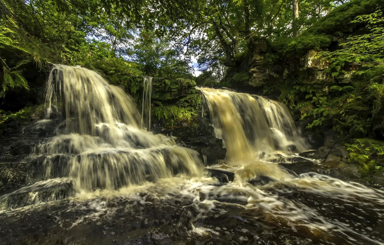 Фото обои деревья, река, Англия, водопад, каскад