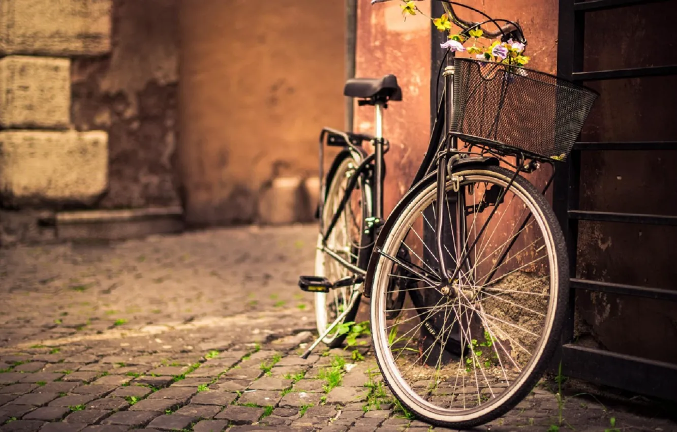 Фото обои bicycle, flower, photography, bike, street