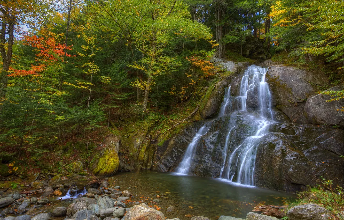 Фото обои осень, лес, деревья, скала, камни, водопад
