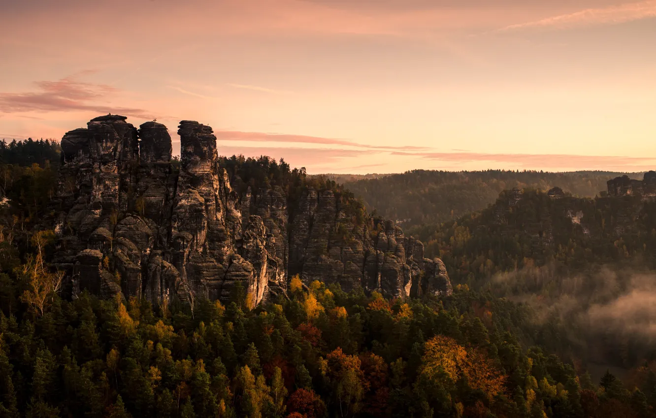 Фото обои осень, лес, горы, туман, камни, скалы, вид, высота