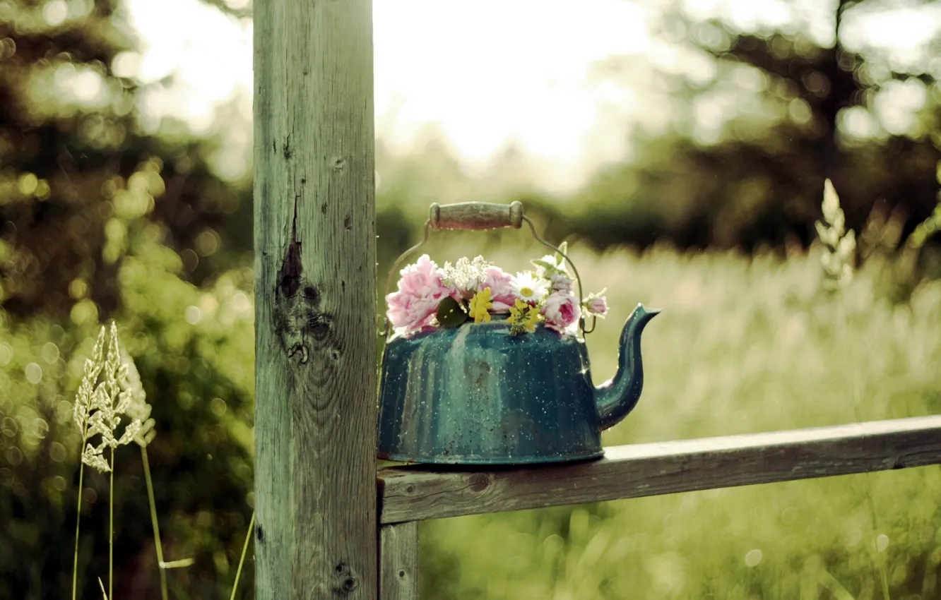 Фото обои цветы, фон, чайник