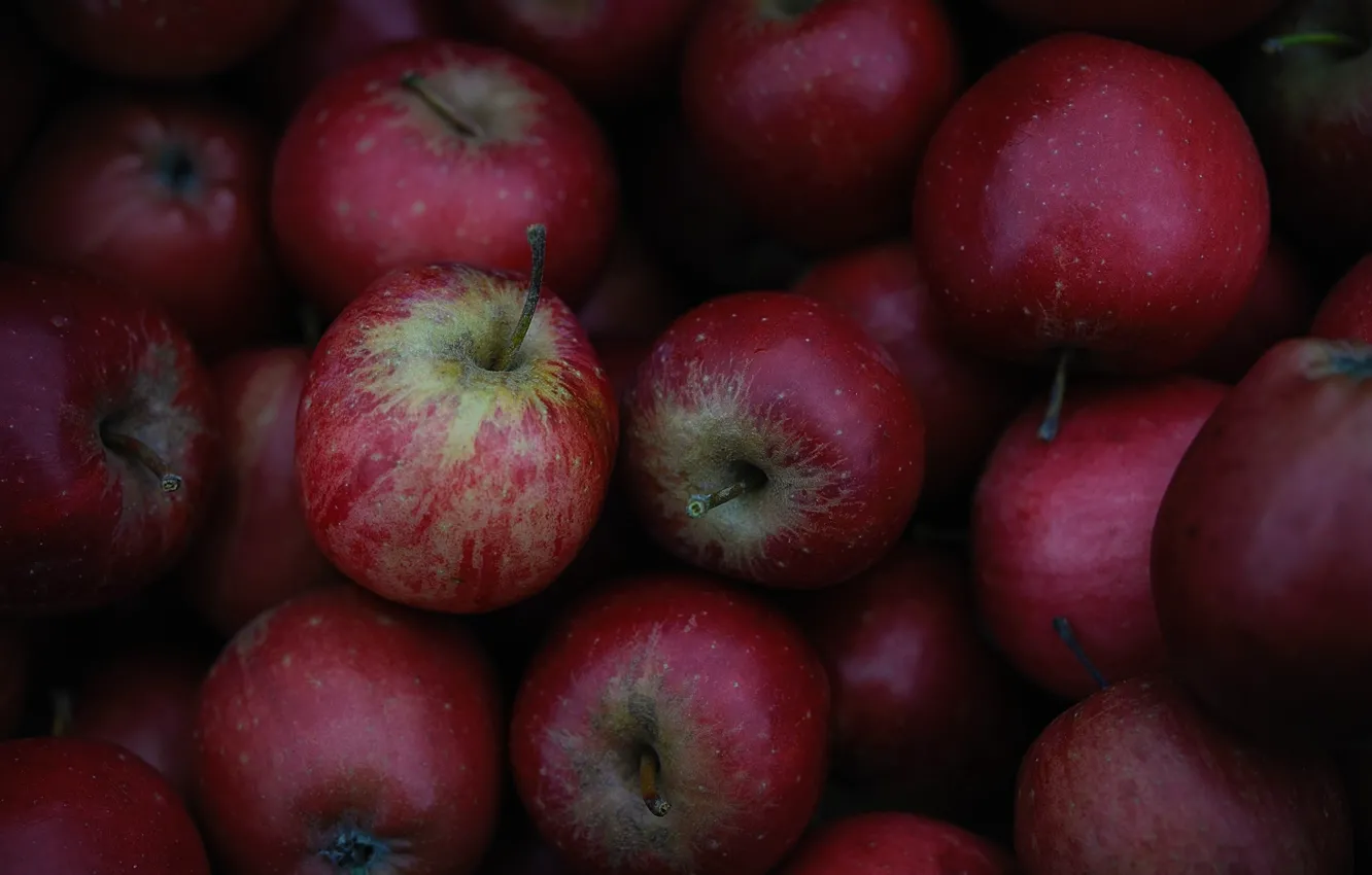 Фото обои яблоки, текстура, фрукты