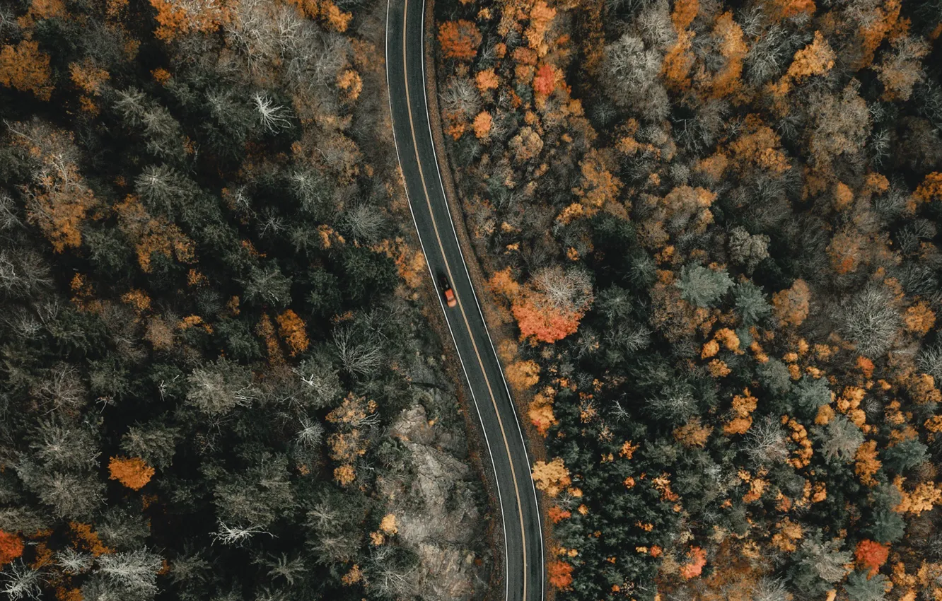 Фото обои дорога, машина, осень, лес, деревья, пейзаж, природа, вид сверху