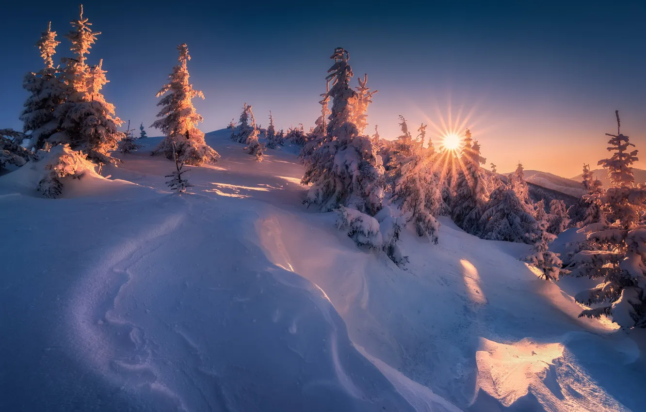 Фото обои зима, солнце, снег, деревья, сугробы, Словакия