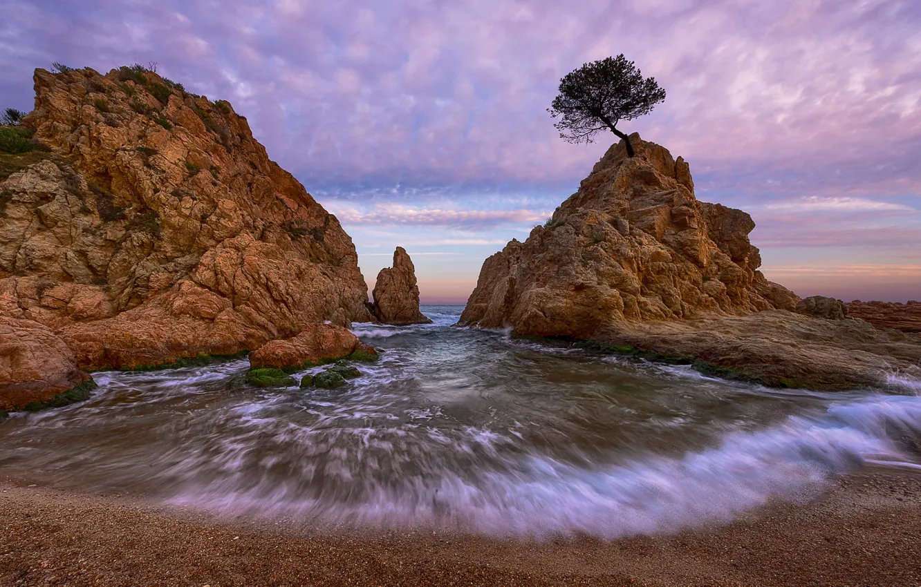 Фото обои море, пляж, дерево, скалы, Испания