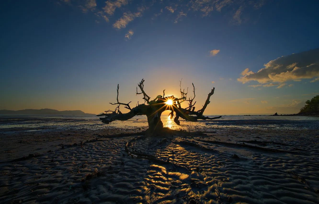 Фото обои солнце, закат, дерево, отлив, Индонезия, зарево, остров Ломбок, Awang Beach