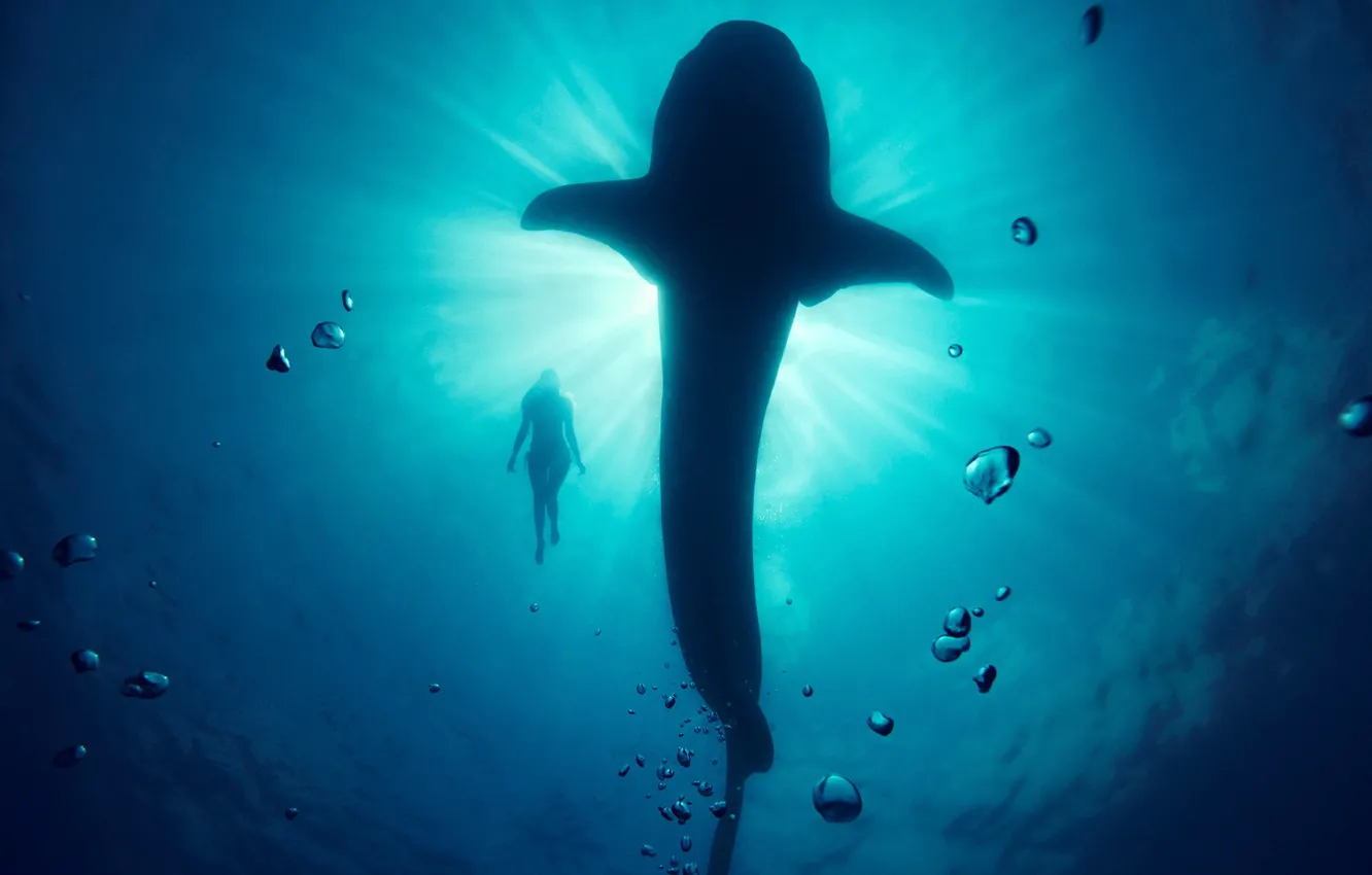 Фото обои море, девушка, пузыри, синева, кит, под водой, лучи света