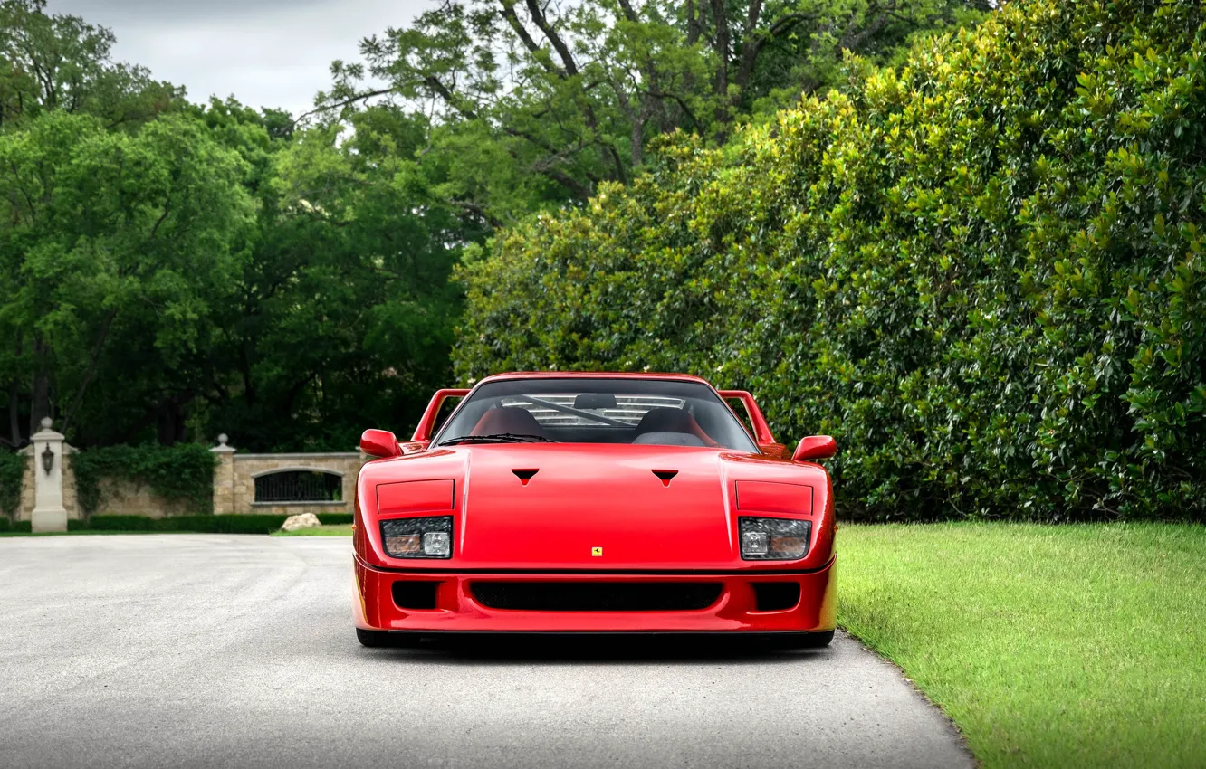 Фото обои F40, Trees, Front view