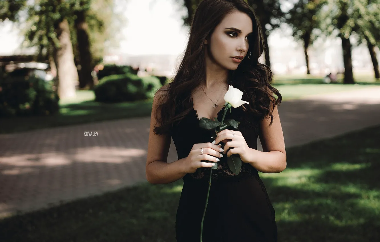 Фото обои взгляд, девушка, поза, роза, платье, брюнетка, Волосы, Артем Ковалев