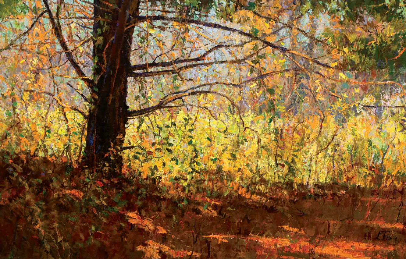 Фото обои осень, листья, свет, пейзаж, ветки, дерево, тень, картина