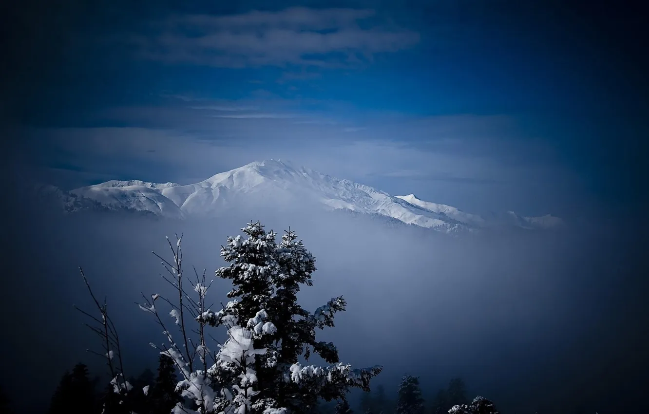 Фото обои зима, снег, деревья, горы, природа, мороз