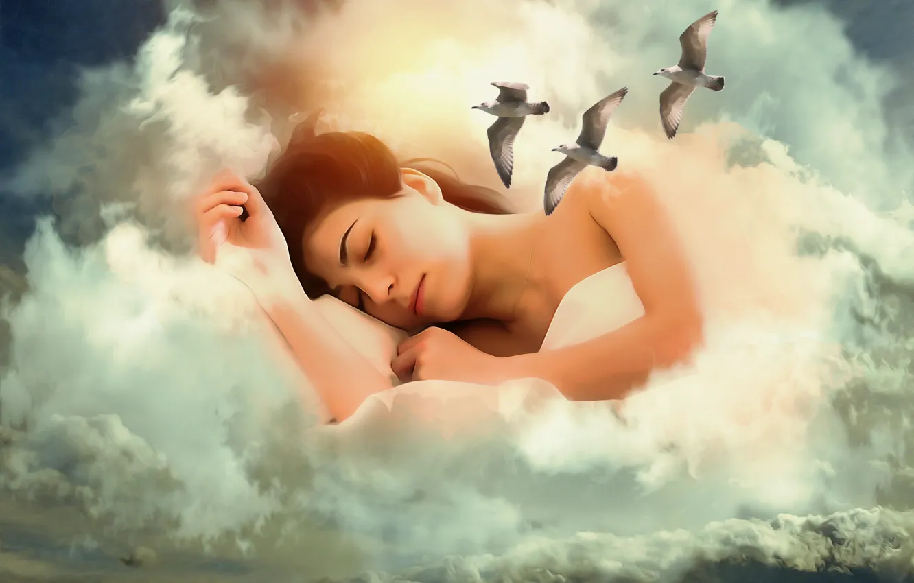 Фото обои девушка, облака, птицы, фантазия, настроение, чайки, сон, обработка
