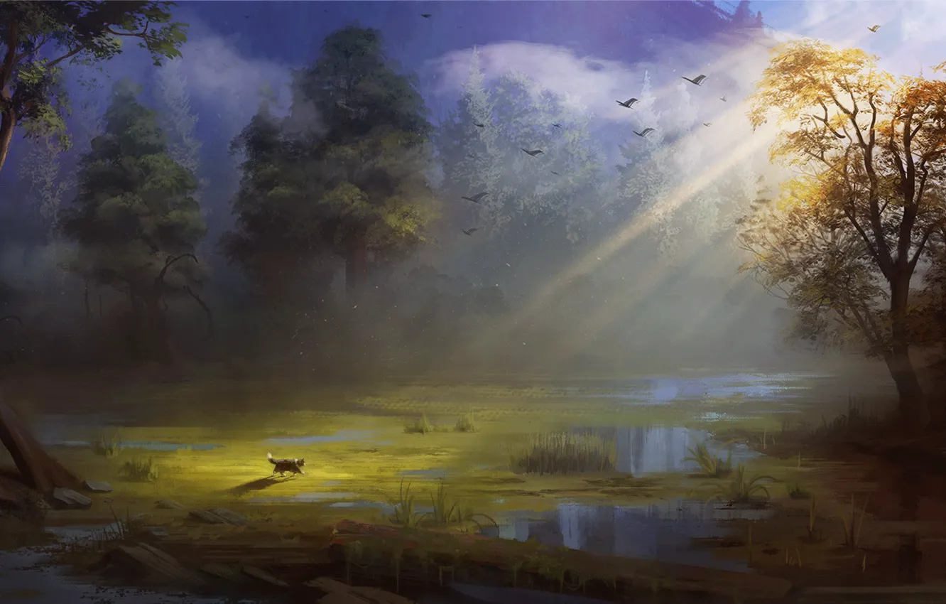 Фото обои лес, кот, солнце, птицы, болото, художник, Эндрю Пальянов, путешествие кота