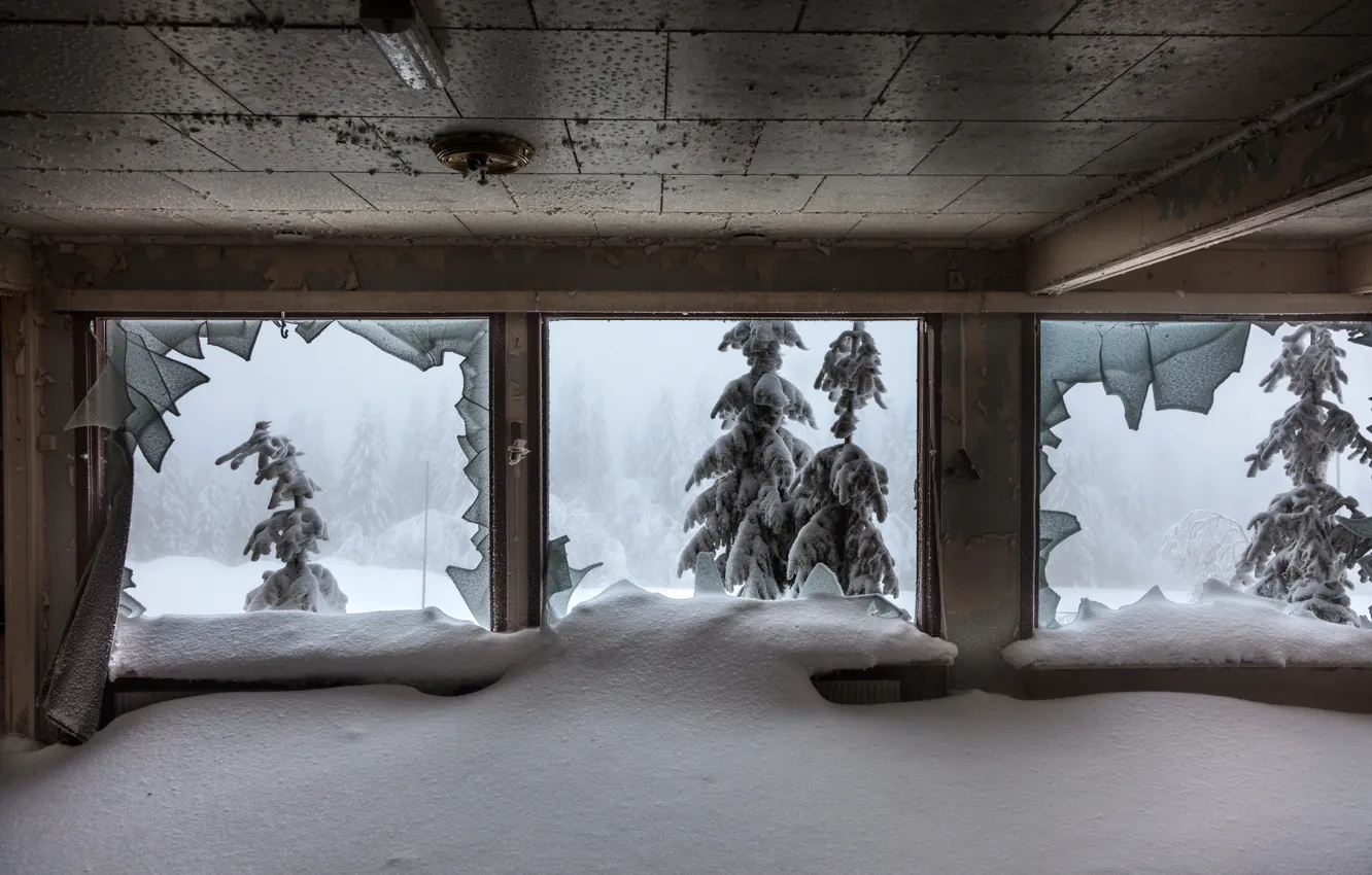 Фото обои зима, снег, окна