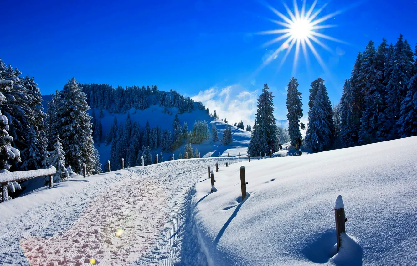 Фото обои зима, лес, небо, солнце, снег, пейзаж, горы, природа