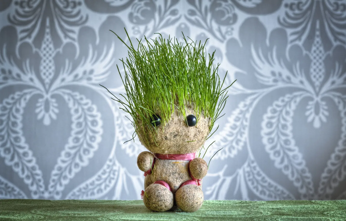 Фото обои трава, кукла, Grass Head