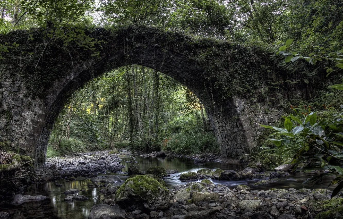 Фото обои пейзаж, мост, природа, река