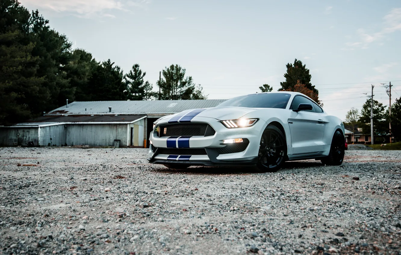 Фото обои Mustang, Ford, Sunset, White, Evening, Shalby