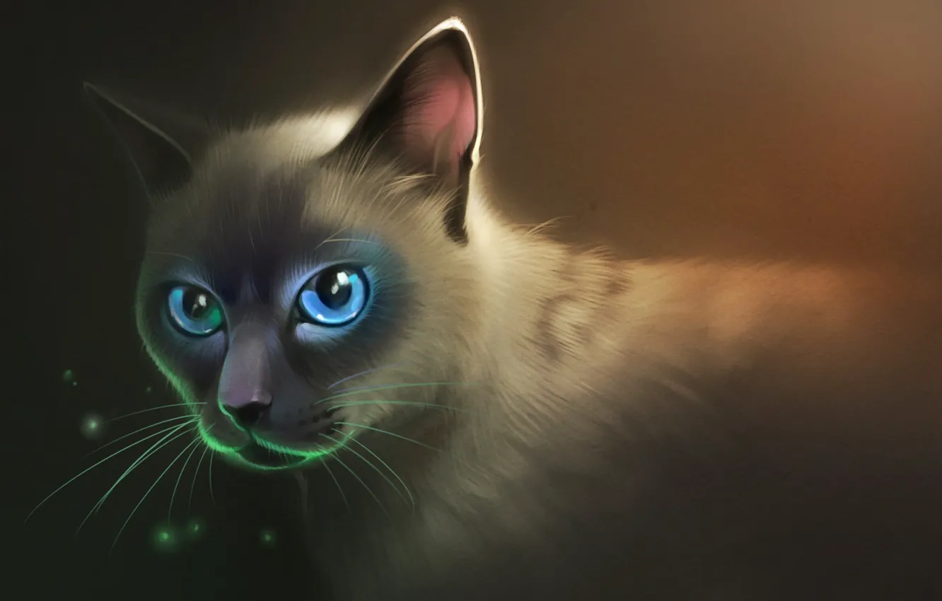 Фото обои кот, взгляд, пушистый, арт, голубые глаза
