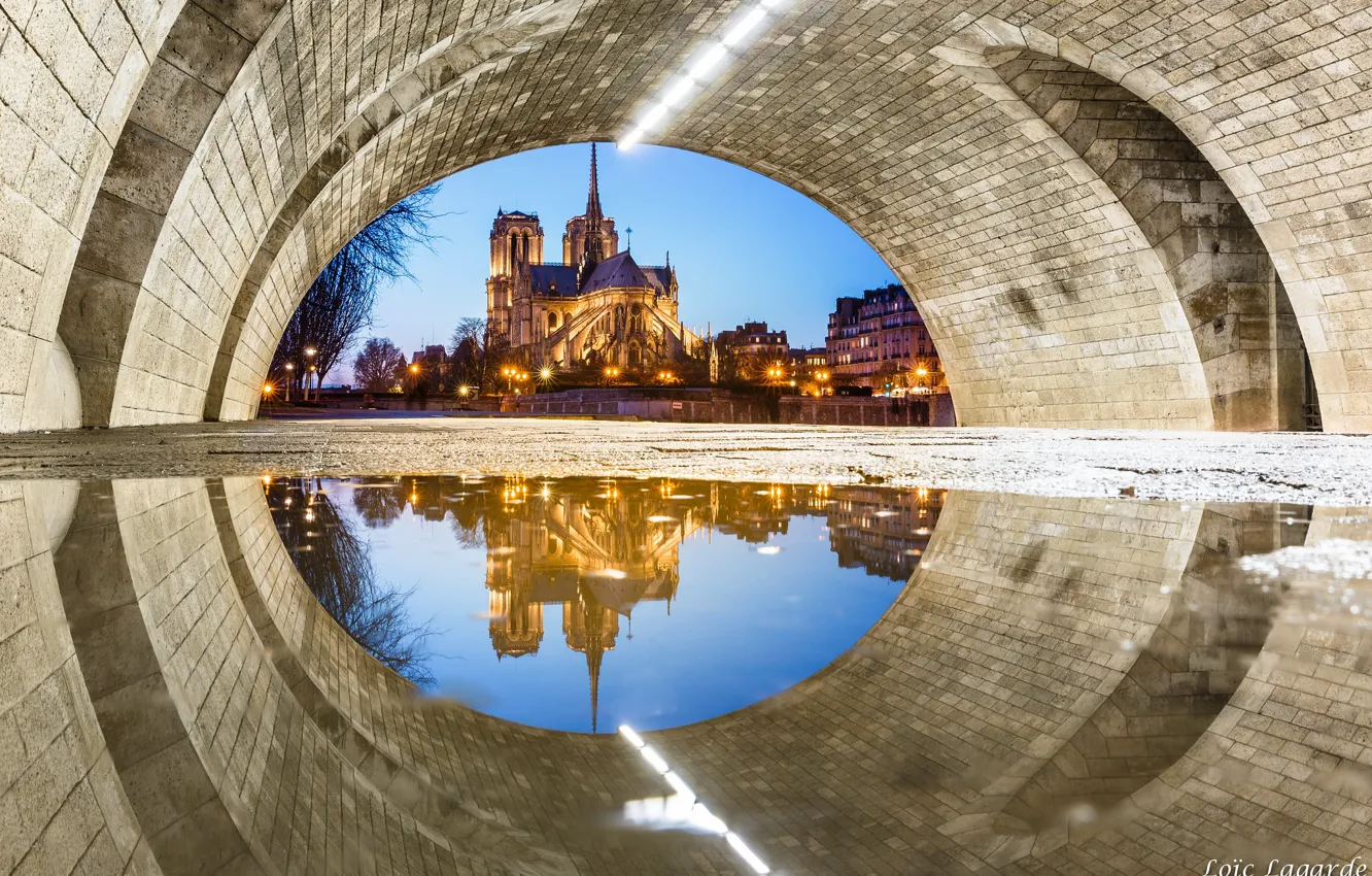 Фото обои Франция, Париж, Нотр-Дам де Пари, необычный ракурс
