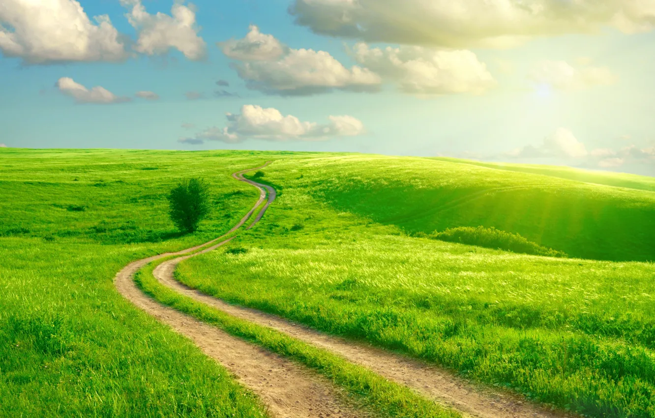 Фото обои дорога, зелень, поле, небо, трава, облака, колея, лучи солнца