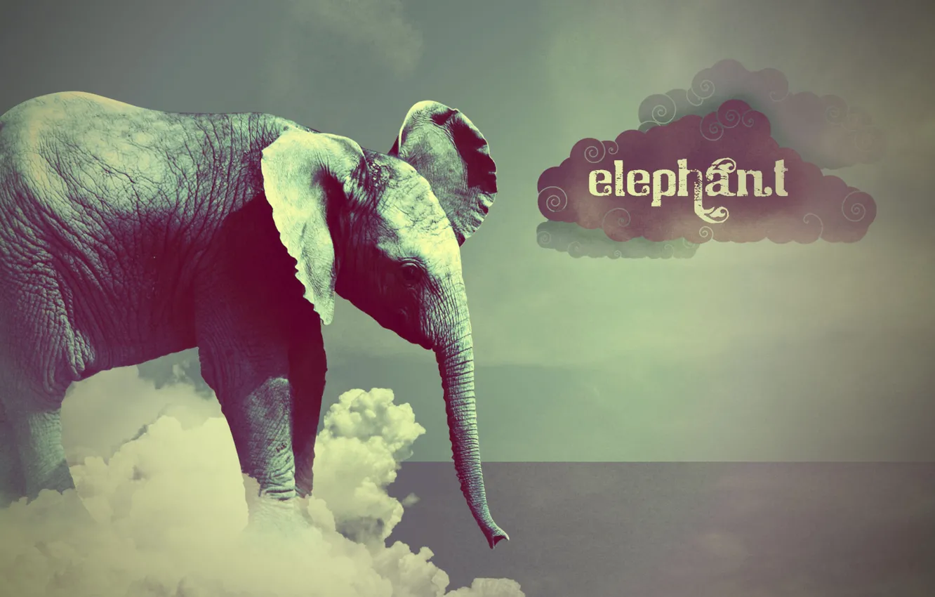 Фото обои стиль, слон, туча, Elephant