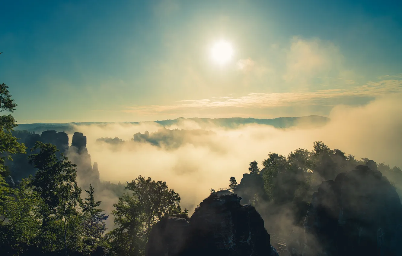 Фото обои горы, туман, утро, Германия, Эльбские Песчаниковые горы