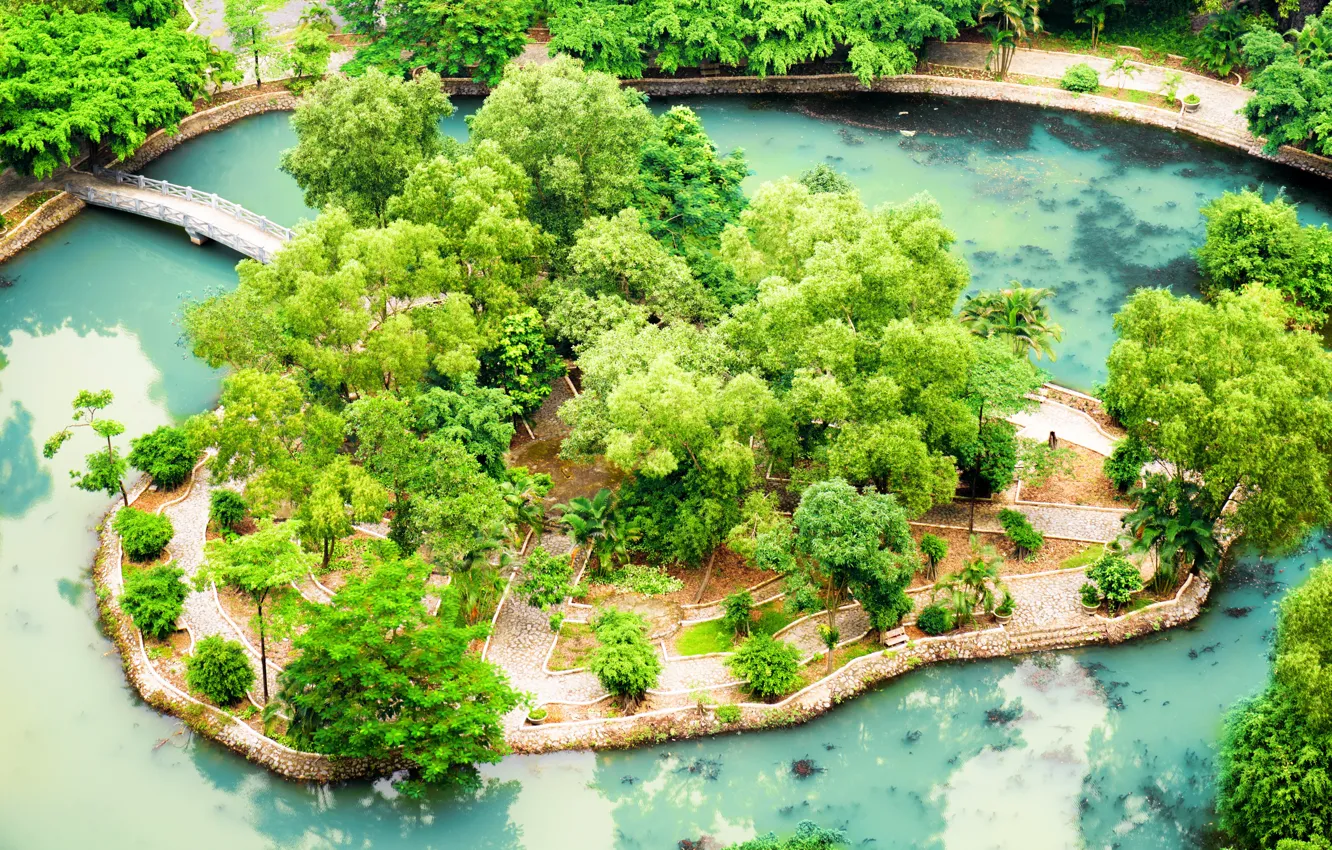 Фото обои Пруд, Парк, Вьетнам, Мосты, Ninh Binh, Tropical Garden