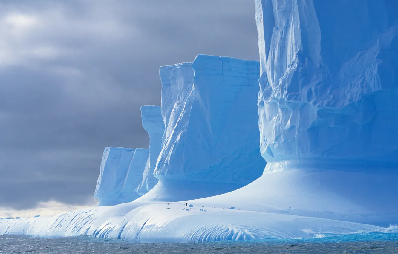 Фото обои море, ледник, пингвин, Антарктида